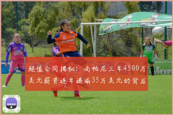 超值合同揭秘：尚帕尼三年4500万美元薪资逐年递减35万美元的背后故事