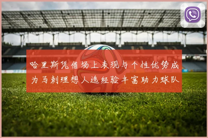 哈里斯凭借场上表现与个性优势成为马刺理想人选经验丰富助力球队发展