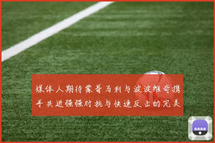 媒体人期待蒙哥马利与波波维奇携手共进强强对抗与快速反击的完美结合