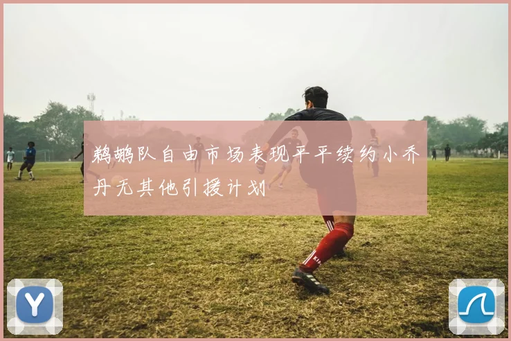 鹈鹕队自由市场表现平平续约小乔丹无其他引援计划